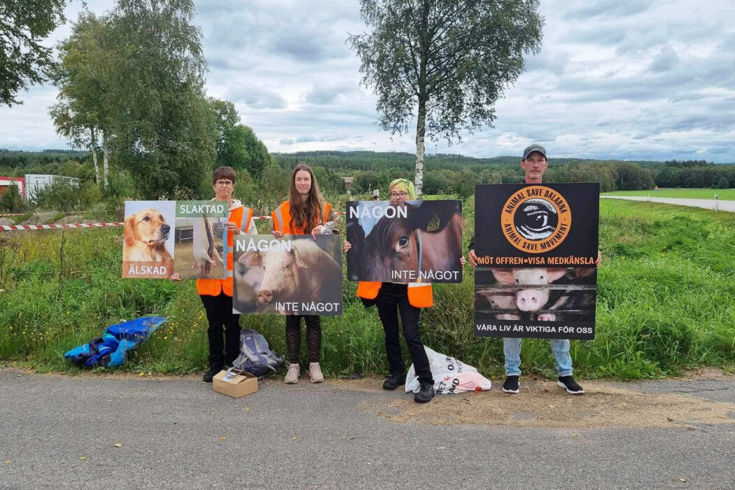 Budskapet att även grisar och kor är individer förs fram vid protesten utanför slakteriet.